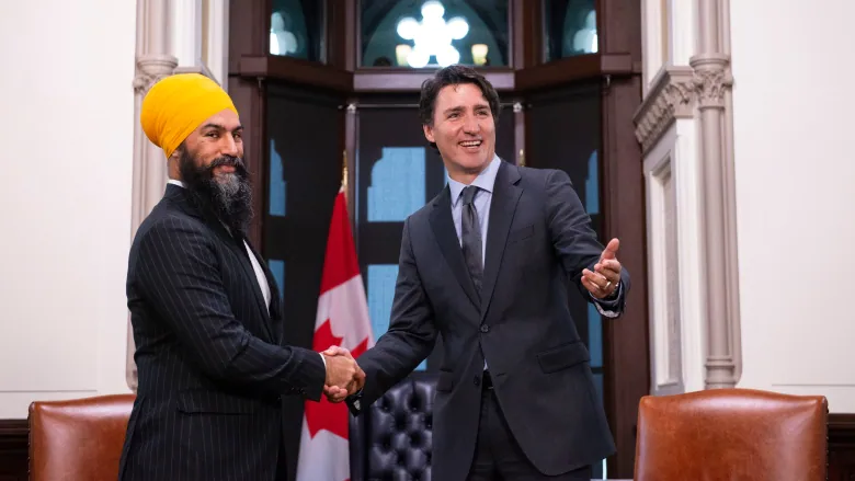 Accordo Liberali-Ndp, polemiche a Ottawa  