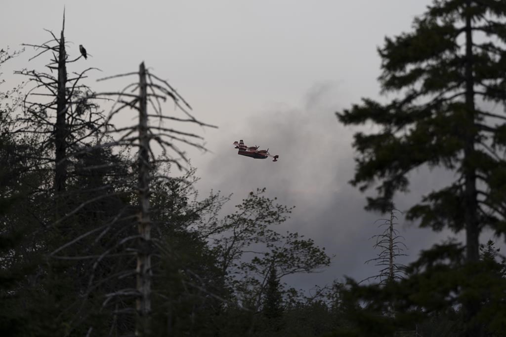 ‘Frightening’ Halifax wildfire shows...