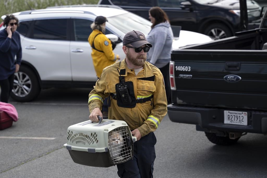 Halifax wildfire: Officials worry...
